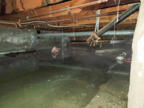 Best Fire Damage Restoration  in Fairview, GA