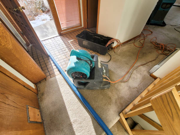 Best Sewage cleanup and water damage restoration  in Fairview, GA