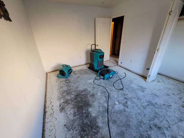 Best Carpet water damage restoration  in Fairview, GA