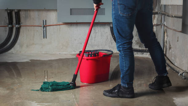 Best Local water damage restoration  in Fairview, GA