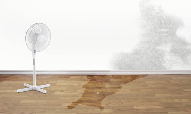 Best Ceiling water damage repair  in Fairview, GA