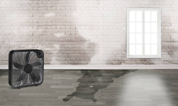 Best Water damage restoration specialists  in Fairview, GA