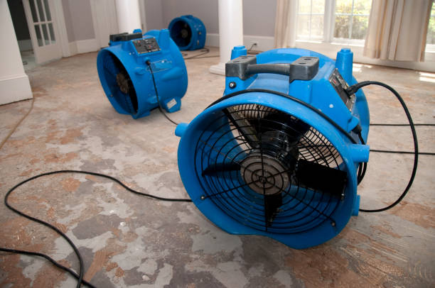 Best Water damage repair service  in Fairview, GA