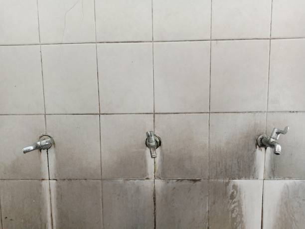 Best Flooded house restoration  in Fairview, GA