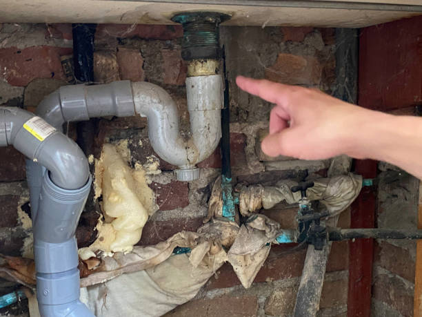 Best Mold removal after water damage  in Fairview, GA