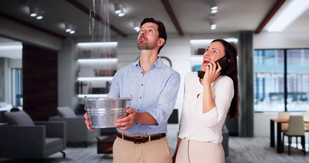Best Flooded house restoration  in Fairview, GA
