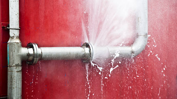 Best Mold removal after water damage  in Fairview, GA